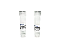 Tribioscience Neurofilament Light (NFL) Mouse Monoclonal Antibody Validated as Capture in ELISA (TBS10025)