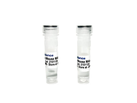 Tribioscience Neurofilament Light (NFL) Mouse Monoclonal Antibody Validated as Capture in ELISA (TBS10025)