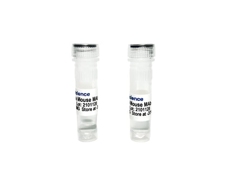 Tribioscience Tau Monoclonal Antibody (TBS10049), Biomarkers, Tribioscience, MSE Supplies