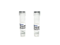Tribioscience Tau Monoclonal Antibody (TBS10049), Biomarkers, Tribioscience, MSE Supplies