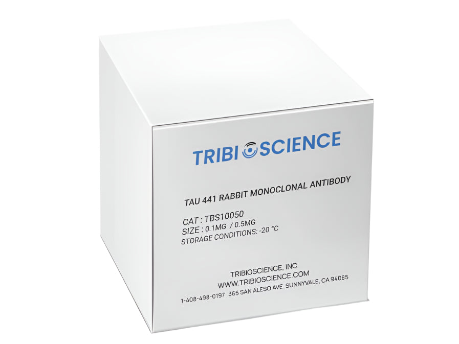 Tribioscience Tau 441 Rabbit Monoclonal Antibody (TBS10050), Biomarkers, Tribioscience, MSE Supplies