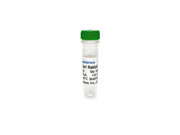 Tribioscience Anti-Iba1 Antibody Monoclonal Antibody (TBS10075), Biomarkers, Tribioscience, MSE Supplies