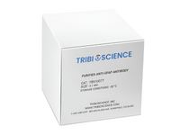 Tribioscience Purified Anti-GFAP Antibody (TBS10077)