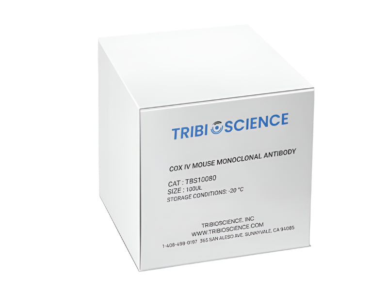 Tribioscience COX IV Mouse Monoclonal Antibody (TBS10080)