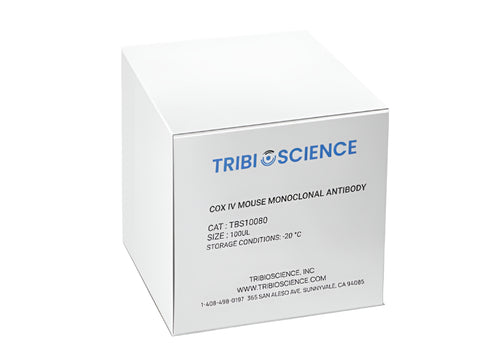 Tribioscience COX IV Mouse Monoclonal Antibody (TBS10080)