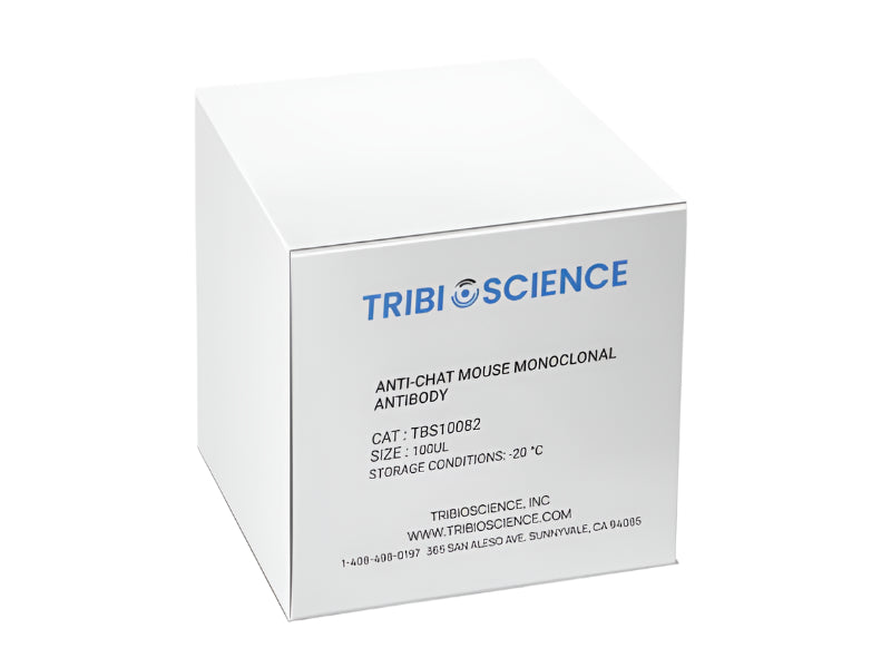 Tribioscience Anti-ChAT Mouse Monoclonal Antibody (TBS10082)