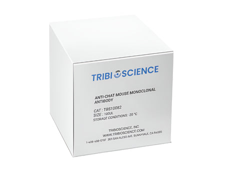 Tribioscience Anti-ChAT Mouse Monoclonal Antibody (TBS10082)