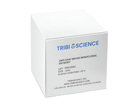 Tribioscience Anti-ChAT Mouse Monoclonal Antibody (TBS10082)