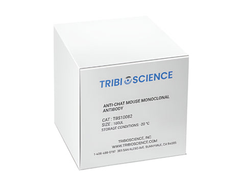 Tribioscience Anti-ChAT Mouse Monoclonal Antibody (TBS10082)