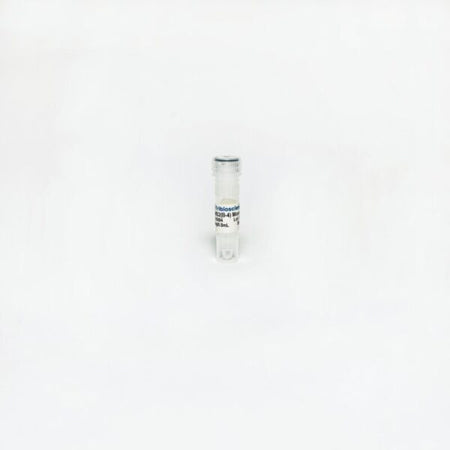 Tribioscience RBMS2 (B-4) Mouse Monoclonal Antibody (TBS10084)