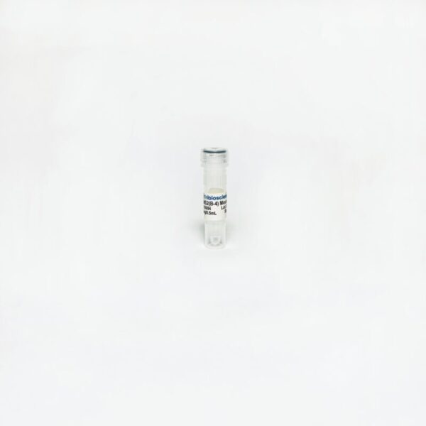 Tribioscience RBMS2 (B-4) Mouse Monoclonal Antibody (TBS10084)