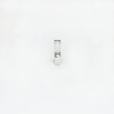 Tribioscience RBMS2 (B-4) Mouse Monoclonal Antibody (TBS10084)