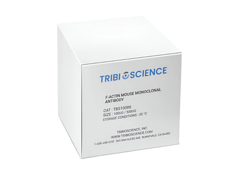 Tribioscience F-actin Mouse Monoclonal Antibody (TBS10086)