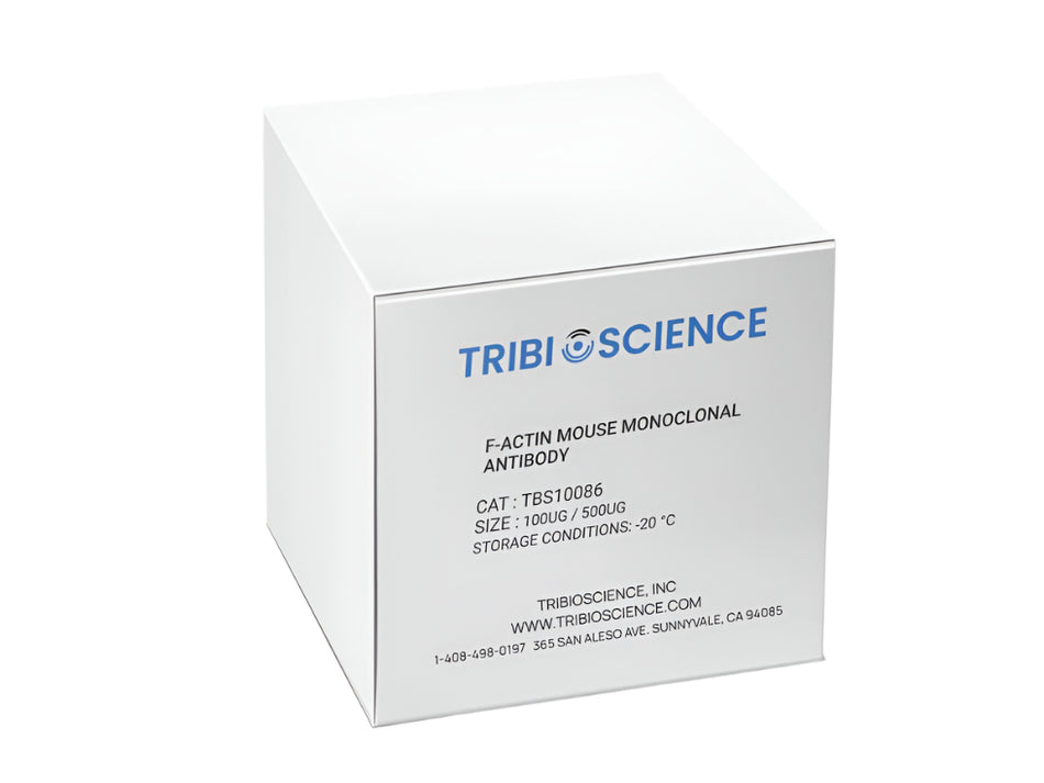 Tribioscience F-actin Mouse Monoclonal Antibody (TBS10086)