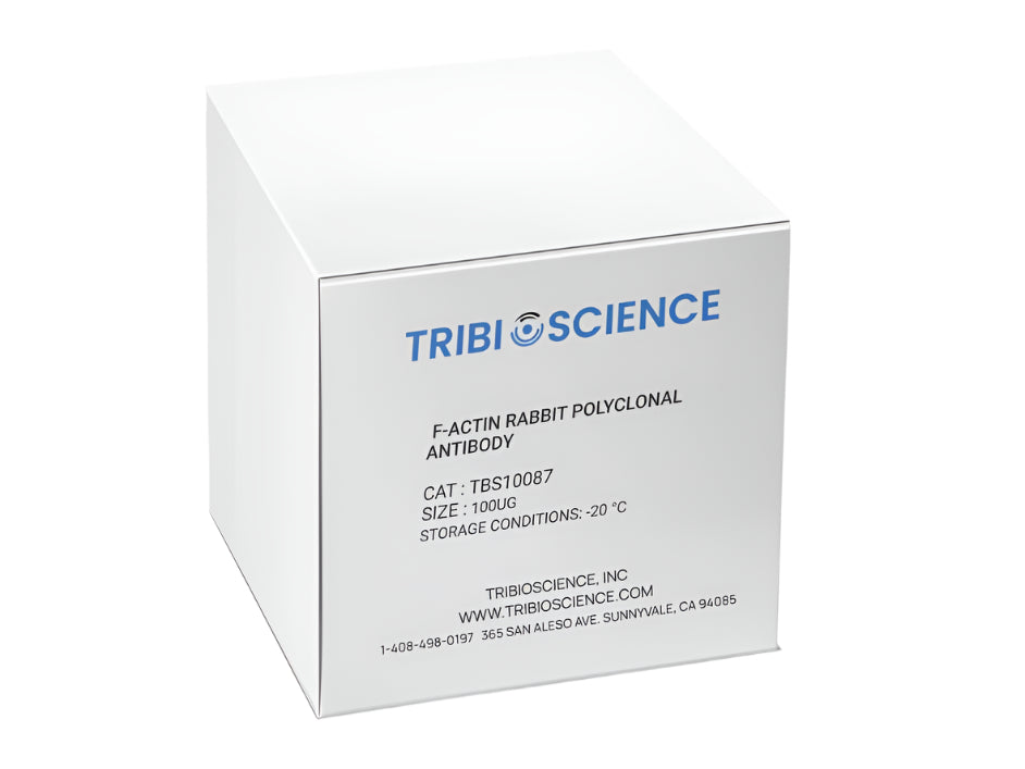 Tribioscience F-Actin Rabbit Polyclonal Antibody (TBS10087)