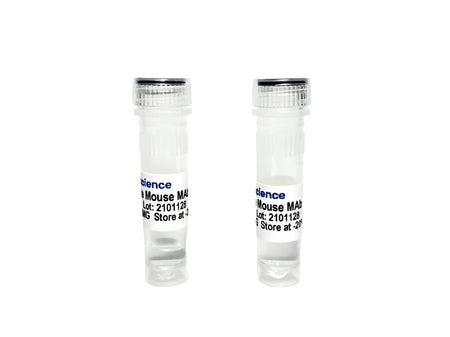 Tribioscience Monoclonal Anti-human Cystatin C Antibody (TBS10090)