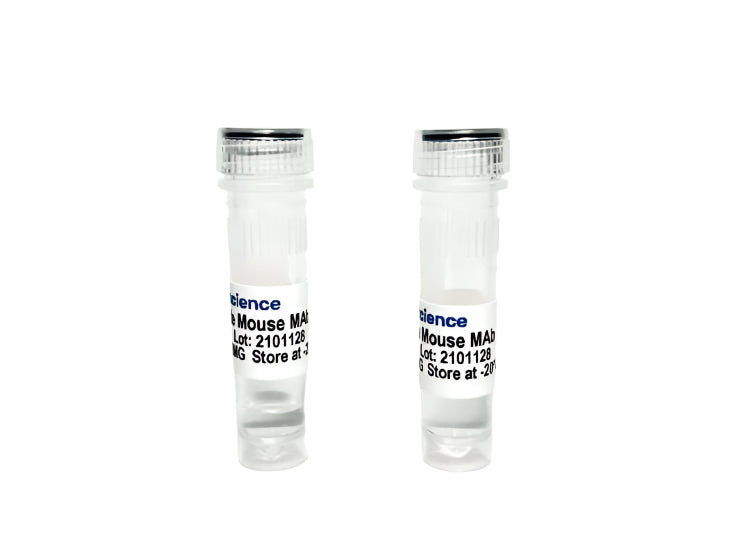Tribioscience Anti-Cancer Antigen 15-3 (Anti-CA15-3) Monoclonal antibody (TBS10100)