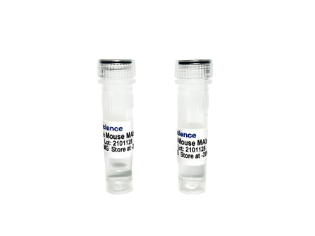 Tribioscience Monoclonal Anti-human Glutamic Acid Decarboxylase (GAD65) Antibody (TBS10119)