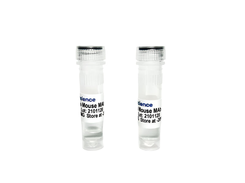 Tribioscience Monoclonal Anti-human Glutamic Acid Decarboxylase (GAD65) Antibody (TBS10120)