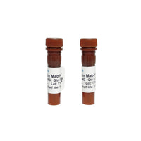 Tribioscience Monoclonal Anti-human Insulin Antibody Conjugated with HRP (TBS10133HRP)