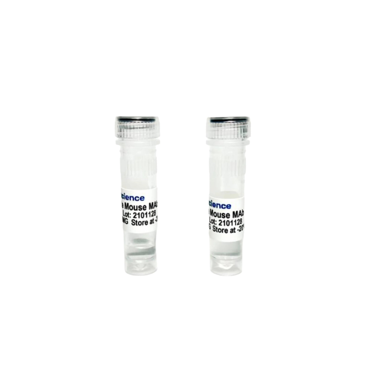 Tribioscience Monoclonal Anti-human Transferrin Antibody (TBS10189)