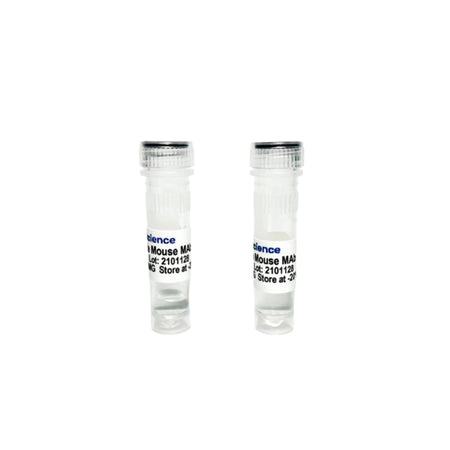 Tribioscience Monoclonal Anti-human Transferrin Antibody (TBS10189)