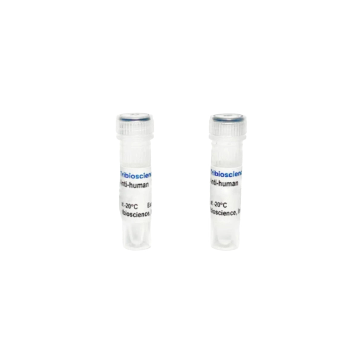 Tribioscience Anti-Human CD56 Mouse Monoclonal Antibody (TBS10202)