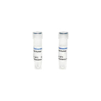 Tribioscience Anti-Human CD56 Mouse Monoclonal Antibody (TBS10202)