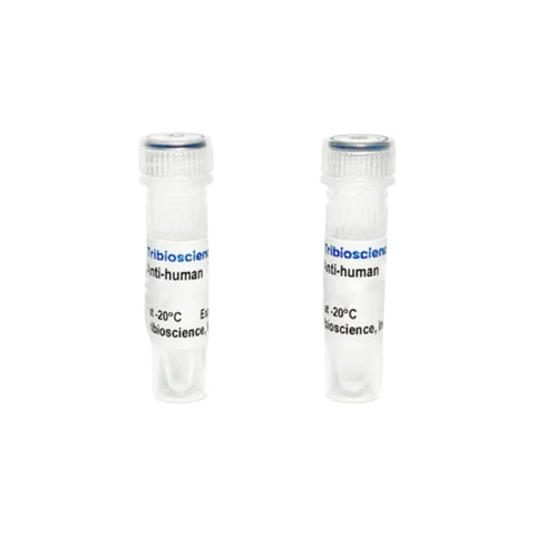 Tribioscience Anti-Human CD19 Mouse Monoclonal Antibody (TBS10203)