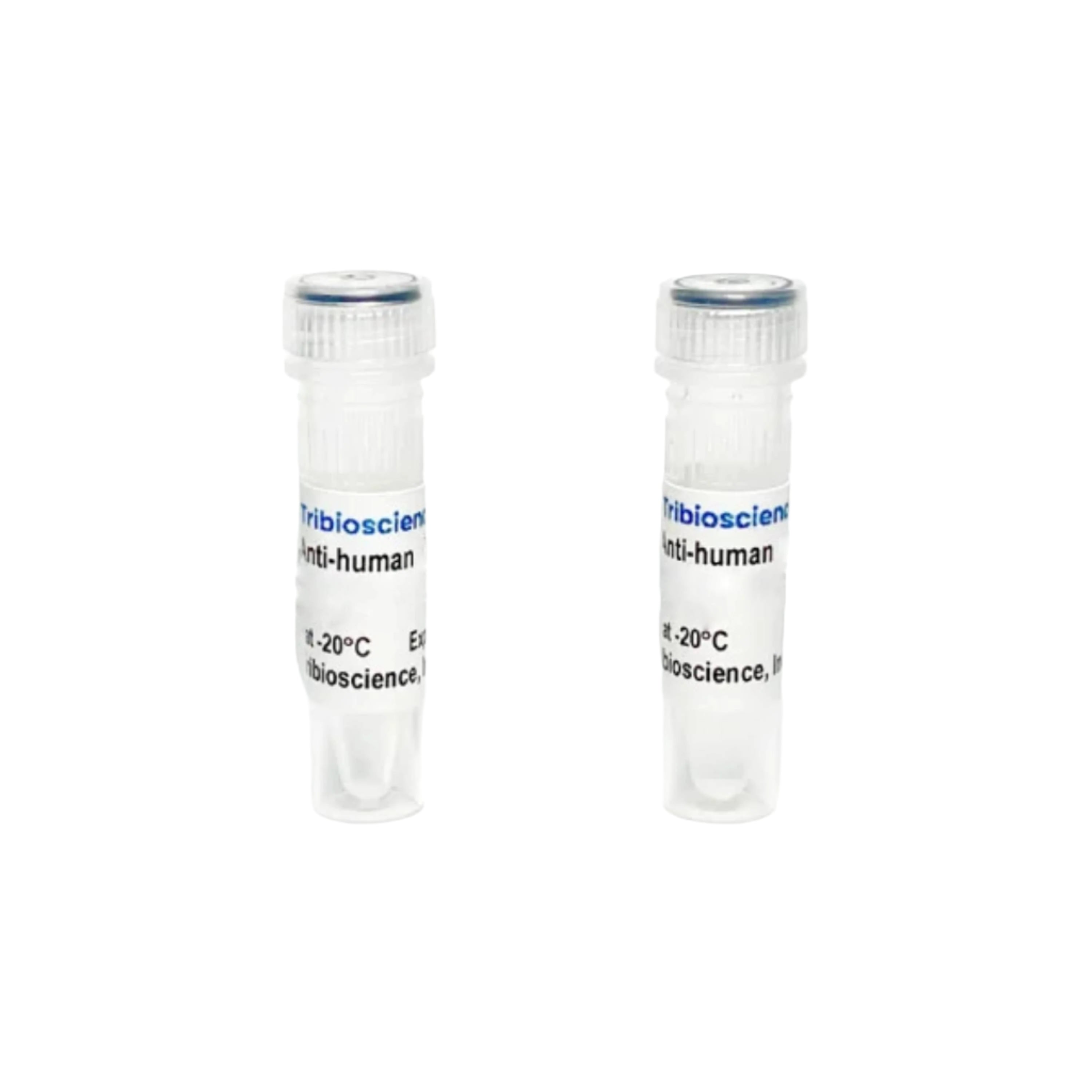Tribioscience Anti-Human CD16 Mouse Monoclonal Antibody (TBS10204)