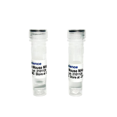 Tribioscience Anti-Mouse TIGIT Mouse Monoclonal Antibody (TBS10206)