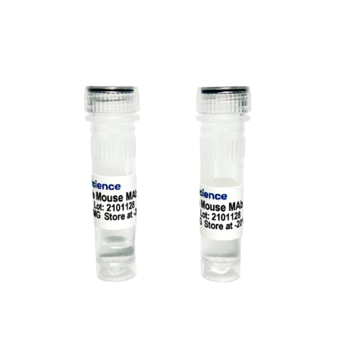 Tribioscience Anti-Mouse CD19 Rat Monoclonal Antibody (TBS10208)