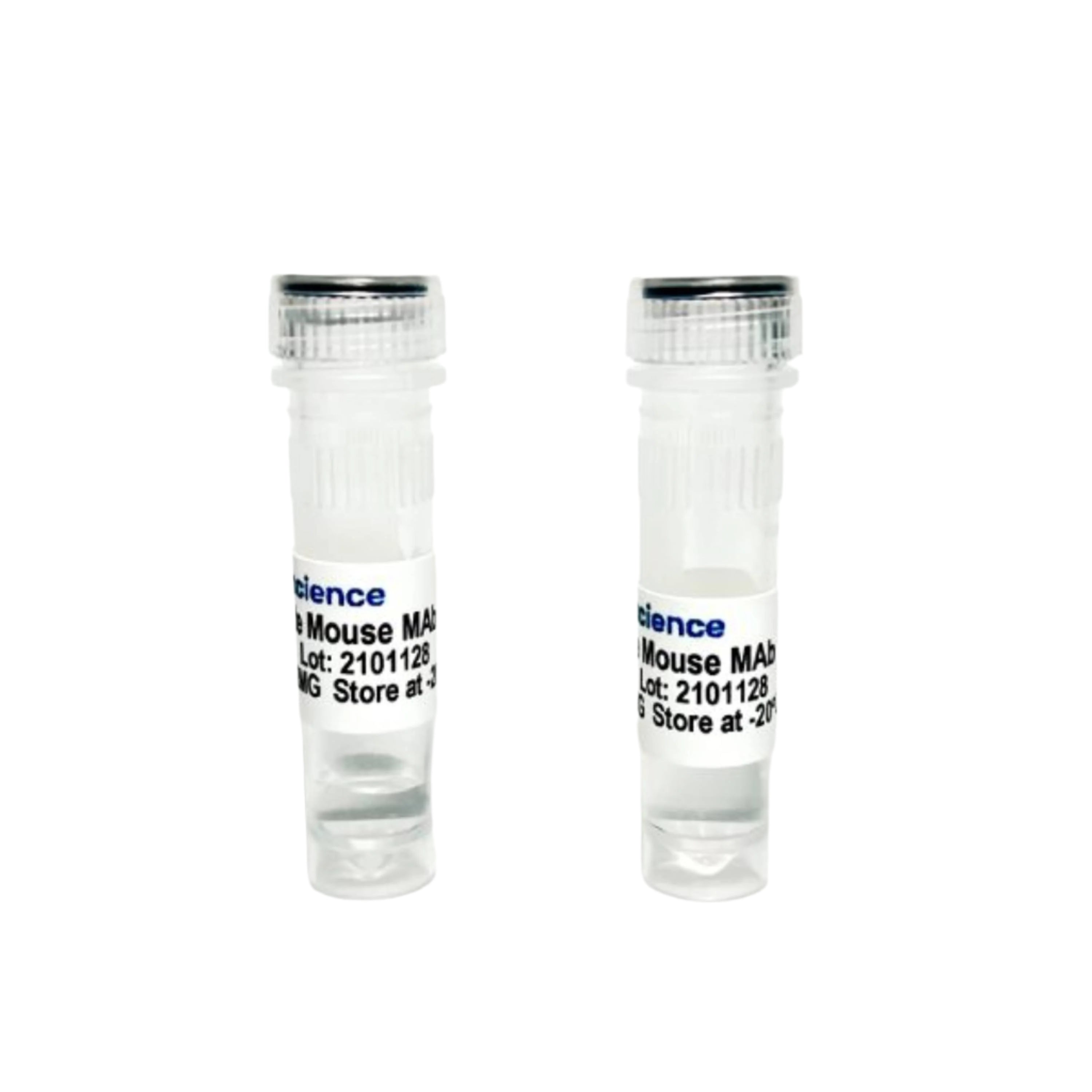 Tribioscience Anti-Mouse CD19 Rat Monoclonal Antibody (TBS10208)