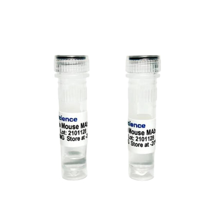 Tribioscience Anti-Mouse CD19 Rat Monoclonal Antibody (TBS10208)