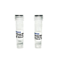 Tribioscience Anti-Mouse CD19 Rat Monoclonal Antibody (TBS10208)