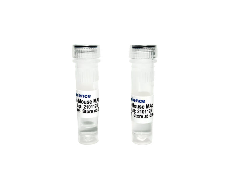 Tribioscience Goat Anti-Mouse IgG (H+L) Highly Cross Adsorbed Secondary Antibody, Alexa Fluor 488 (TBS11001)