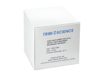 Tribioscience Goat Anti-Rabbit IgG (H+L) Highly Cross Adsorbed Secondary Antibody, Alexa Fluor 488 (TBS11003)