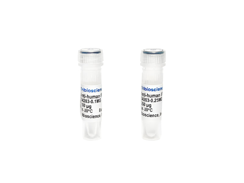 Tribioscience Monoclonal Antibody to Human IFN-Gamma (TBS134203)