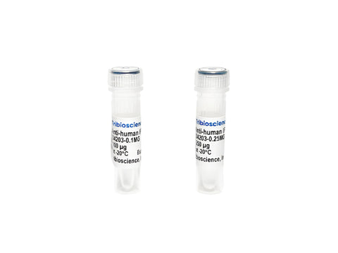 Tribioscience Monoclonal Antibody to Human IFN-Gamma (TBS134203)