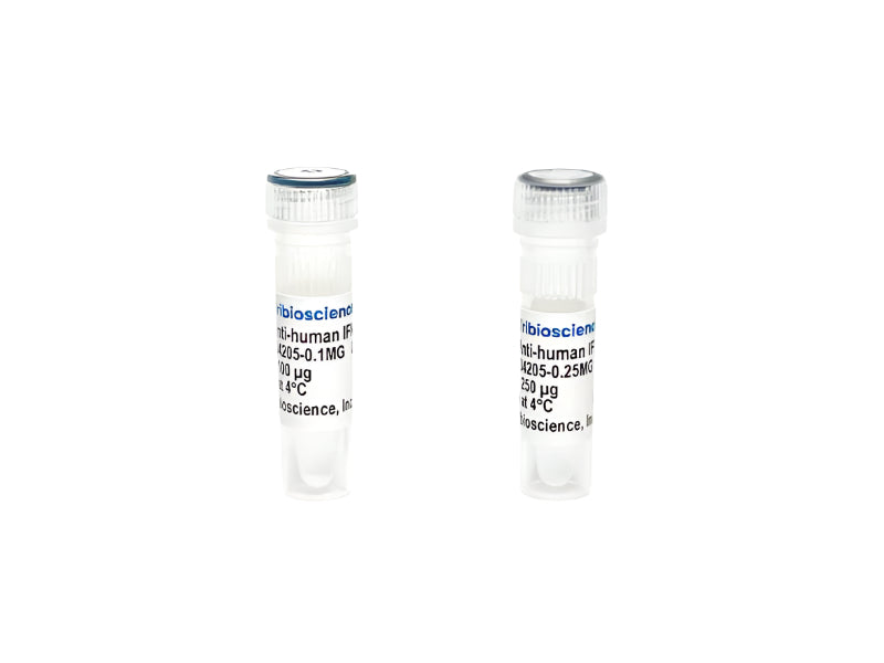 Tribioscience Monoclonal Antibody to Human IFN-Gamma (TBS134205)