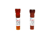 Tribioscience Monoclonal Antibody to Human IL-10, unconjugated (TBS134303)