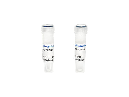 Tribioscience  Monoclonal Antibody to Human IL-10, unconjugated (TBS134305)