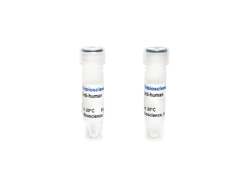 Tribioscience  Monoclonal Antibody to Human IL-10, Biotin (TBS134305B)