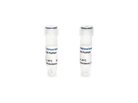 Tribioscience  Monoclonal Antibody to Human IL-10, Biotin (TBS134305B)