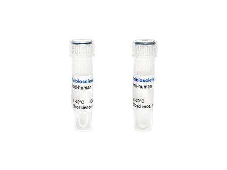 Tribioscience Monoclonal Antibody to Human TNF-α, Unconjugated (TBS135123)