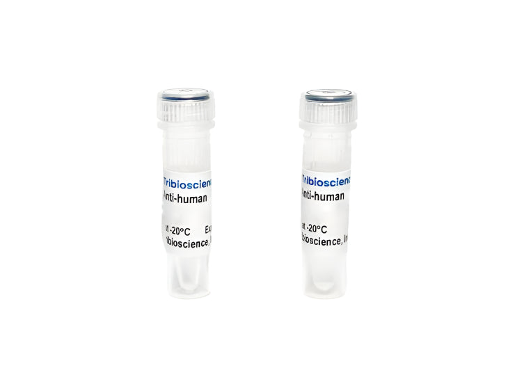 Tribioscience Monoclonal Antibody to Human TNF-α, Unconjugated (TBS135123)
