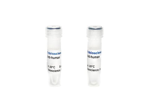 Tribioscience Monoclonal Antibody to Human TNF-α, Unconjugated (TBS135123)