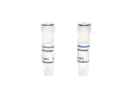 Tribioscience Monoclonal Antibody to Human TNF-α, Biotin (TBS135125B)