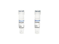 Tribioscience Monoclonal Antibody to Human TNF-α, Biotin (TBS135125B)