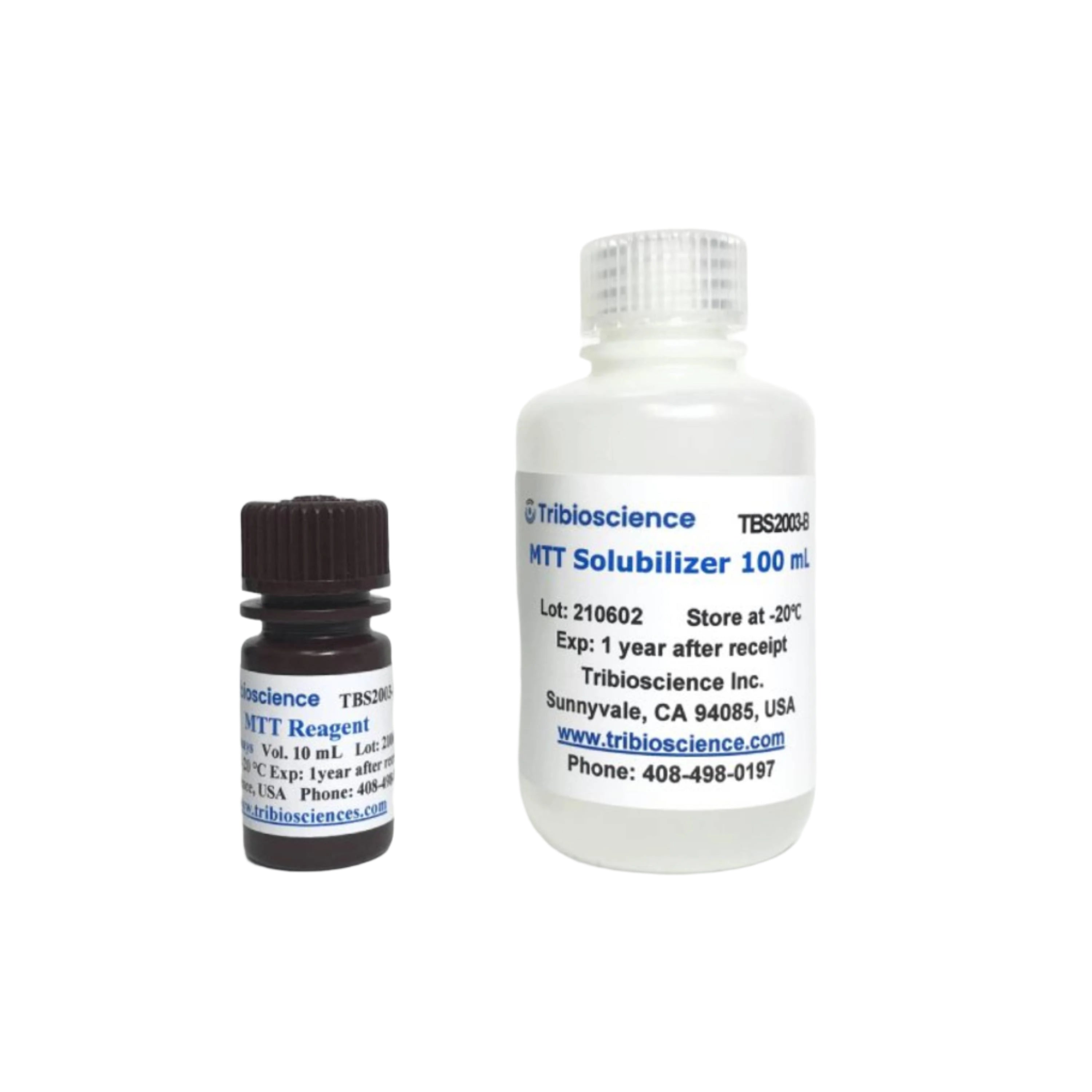 Tribioscience MTT Cell Viability Assay (TBS2003)